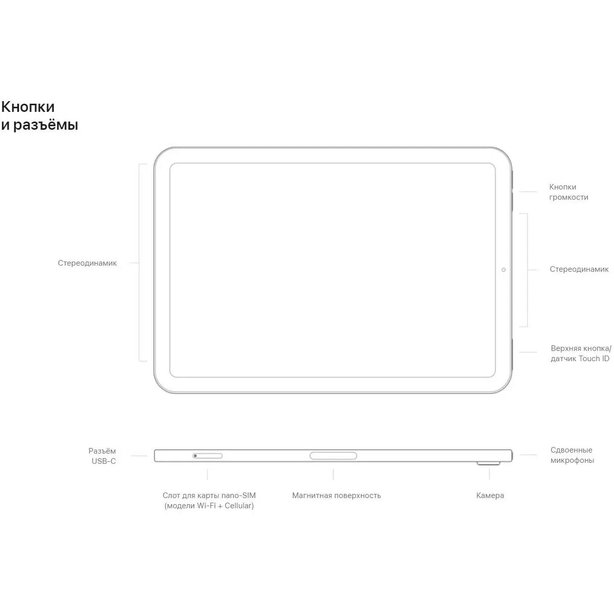 Планшет Apple iPad MINI 6(2021), 8.3", 256gb, Wi-fi, Starlight/Сияющая звезда изображение 15