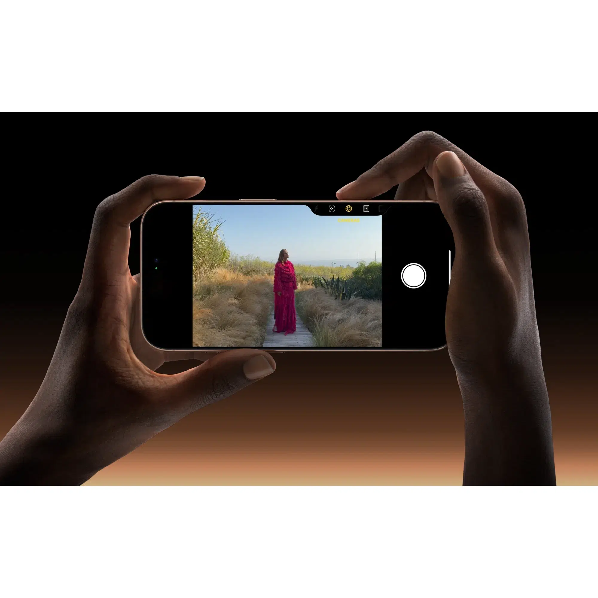 Смартфон Apple iPhone 16 Pro Max 256 ГБ, Dual: nano SIM + eSIM, пустынный титан изображение 15