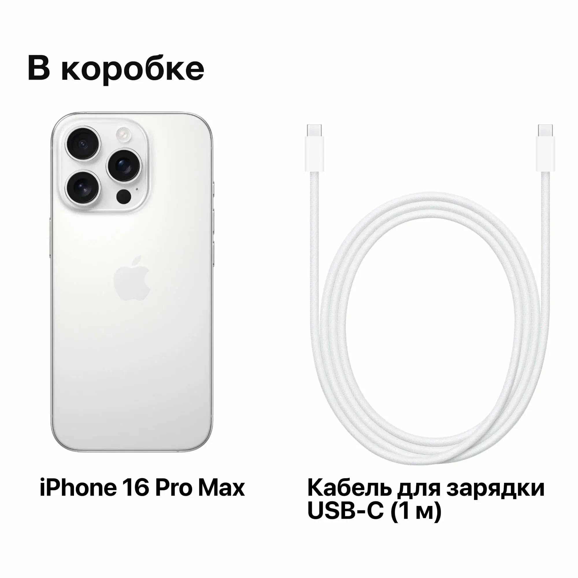Смартфон Apple iPhone 16 Pro Max 256GB nano 2-SIM Natural Titanium изображение 4
