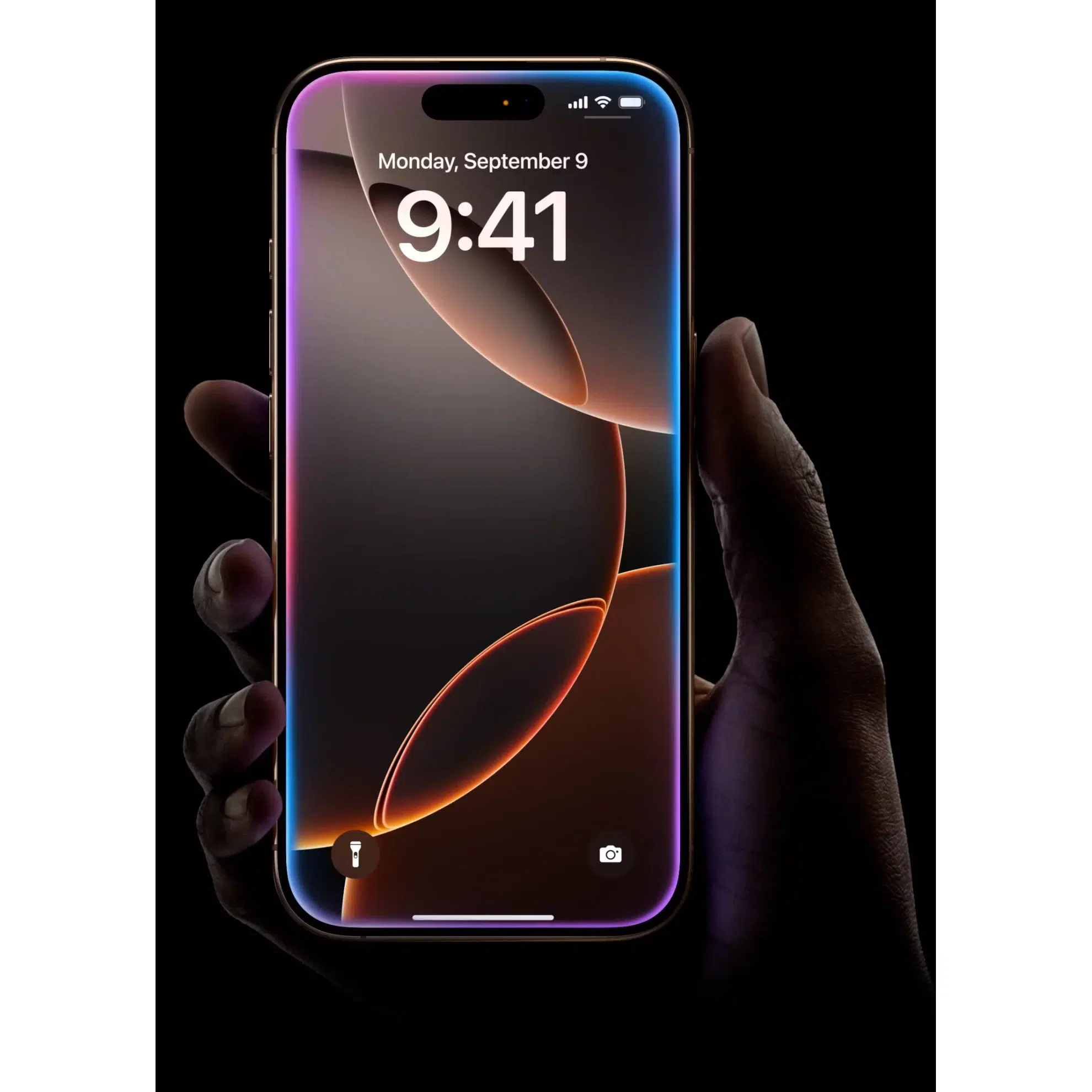 Смартфон Apple iPhone 16 Pro Max 256 ГБ LLA, Только eSIM, пустынный титан изображение 14