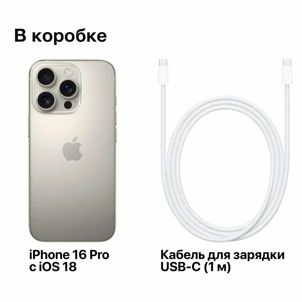 Смартфон Apple iPhone 16 Pro Max 1TB, Natural Titanium (Dual eSIM) LLA изображение 9
