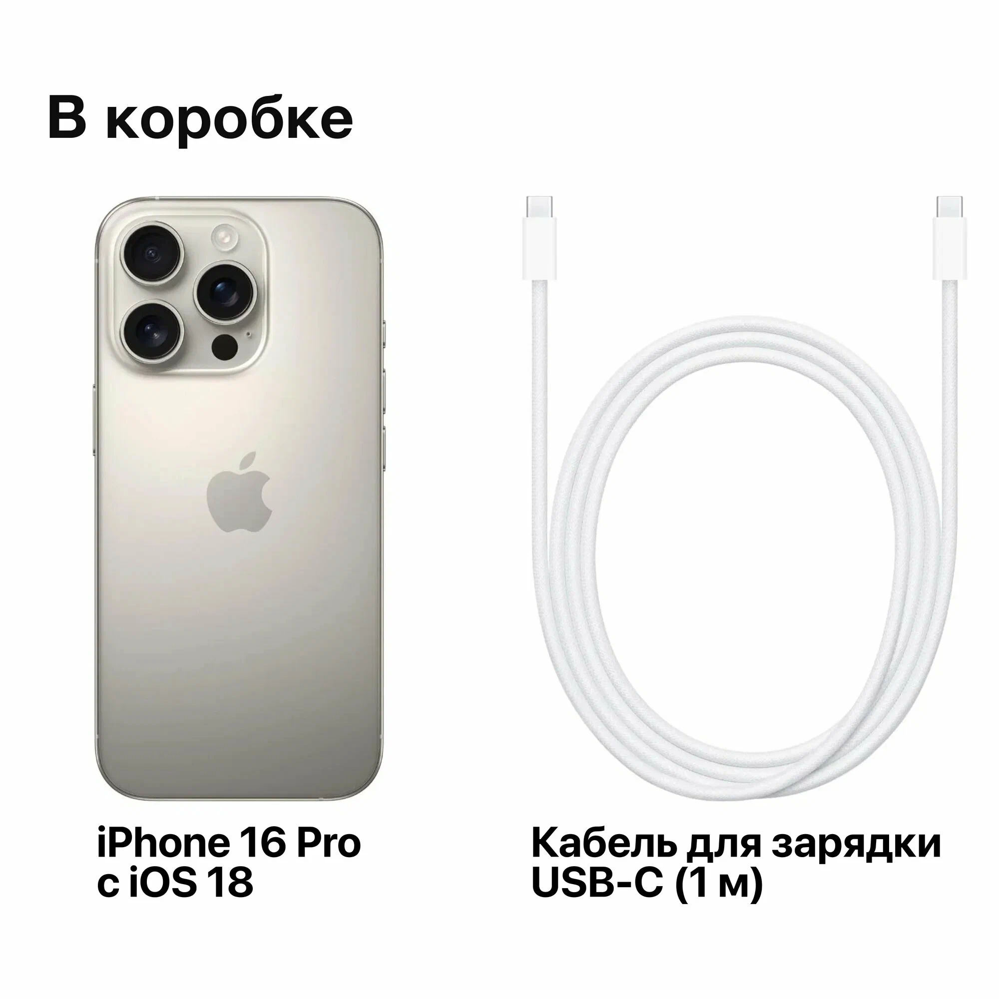 Смартфон Apple iPhone 16 Pro Max 1TB, Natural Titanium (Dual eSIM) LLA изображение 9