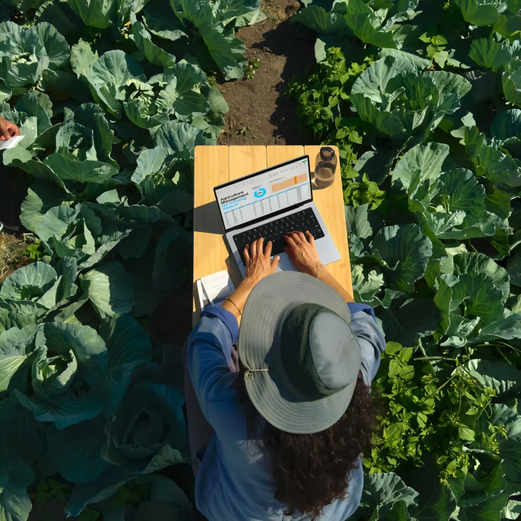 Ноутбук Apple MacBook Pro 14 2024 M4 24/1024GB Space Black (MCX04) (Английская клавиатура) изображение 9